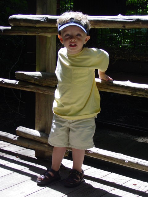 Click for original image 148k 480x640