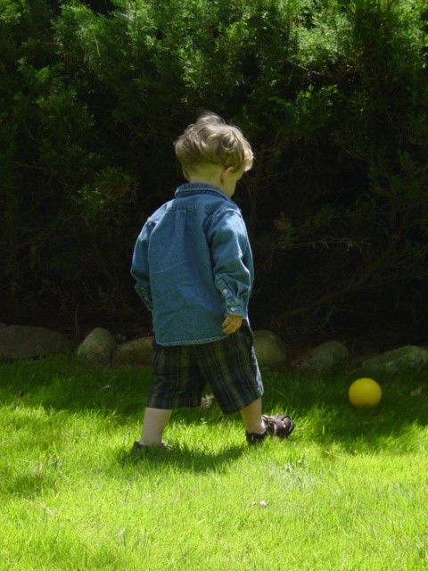 Click for original image 151k 480x640