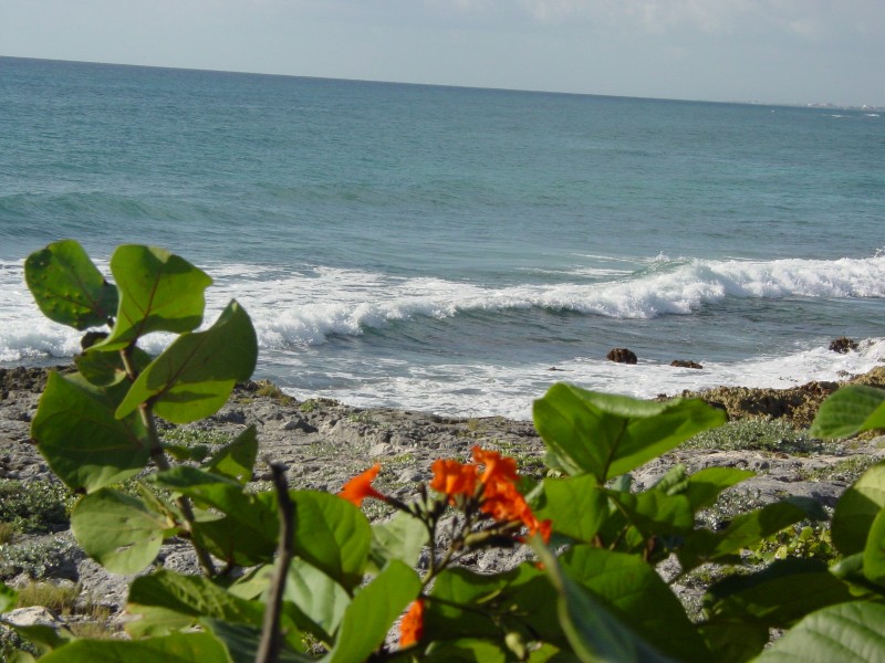 Click for original image 878k 1600x1200