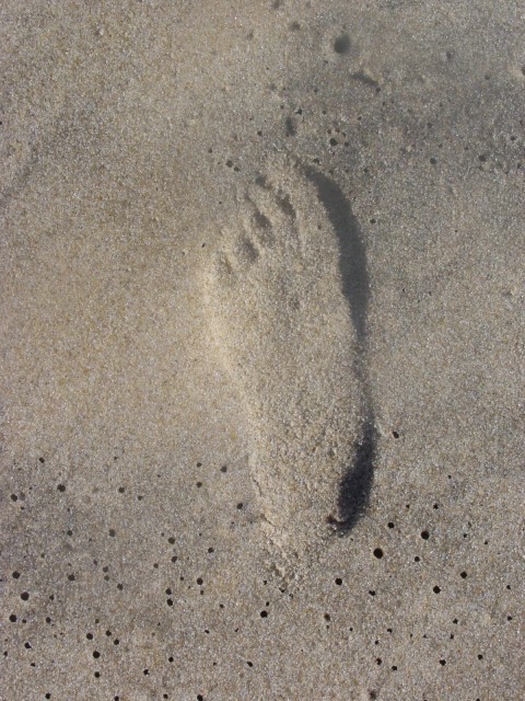 Click for original image 878k 1200x1600