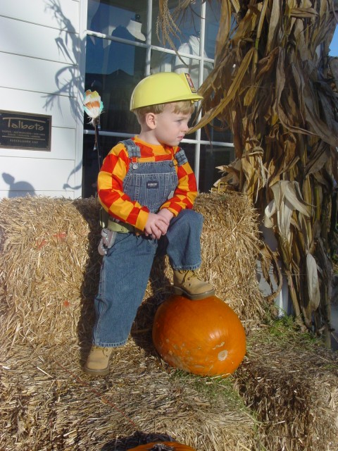 Click for original image 904k 1200x1600