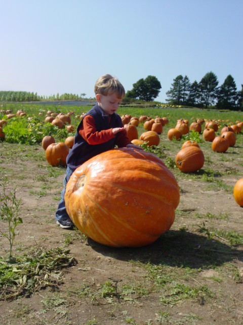 Click for original image 882k 1200x1600