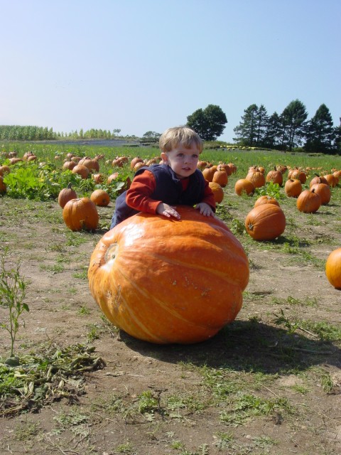 Click for original image 853k 1200x1600