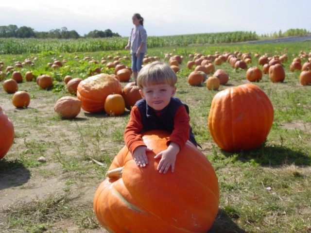 Click for original image 899k 1600x1200