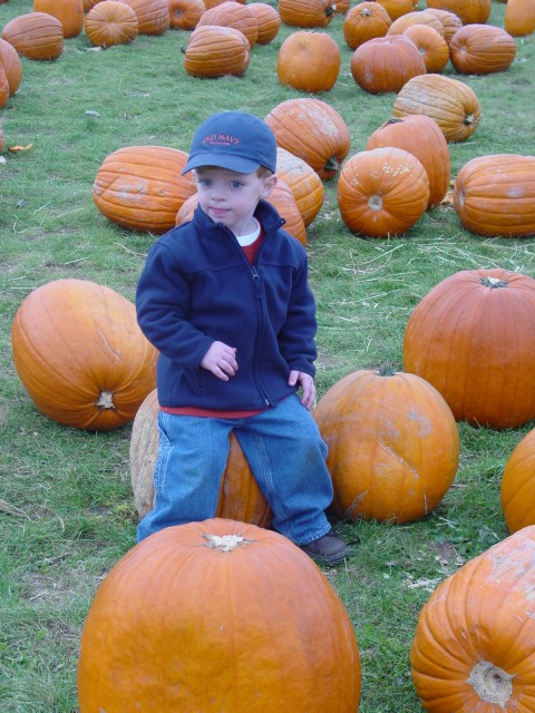 Click for original image 878k 1200x1600