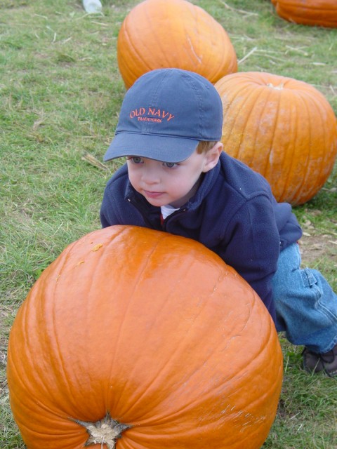 Click for original image 876k 1200x1600
