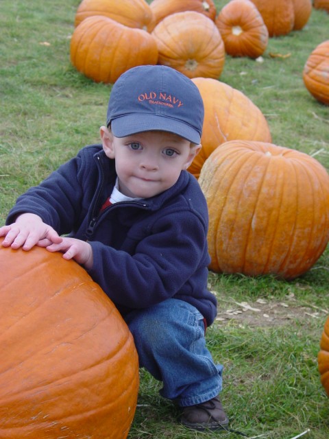 Click for original image 836k 1200x1600