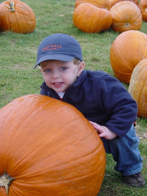Click for original image 841k 1200x1600