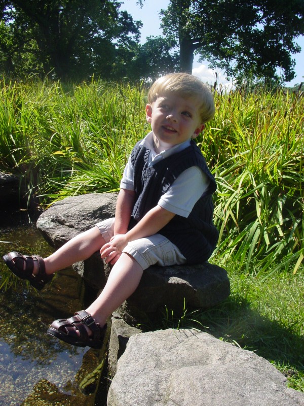 Click for original image 887k 1200x1600