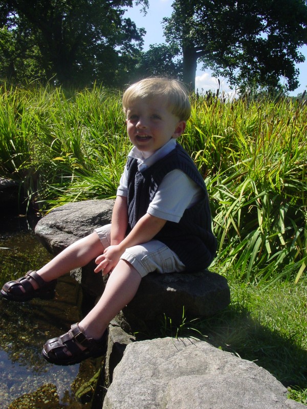 Click for original image 879k 1200x1600