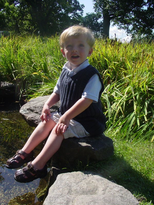 Click for original image 887k 1200x1600