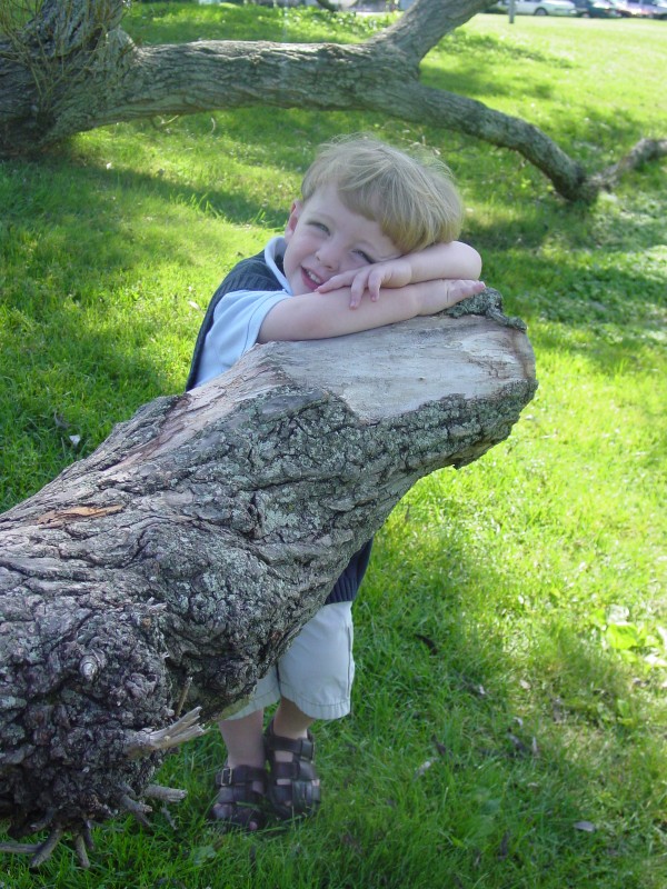 Click for original image 893k 1200x1600