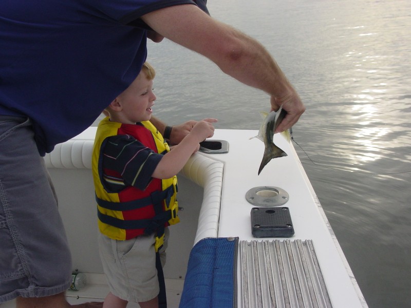 Click for original image 825k 1600x1200