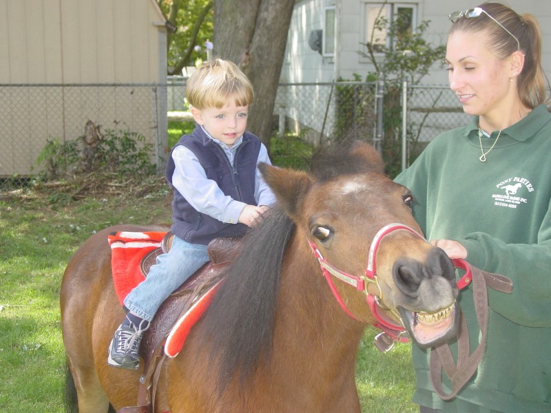 Click for original image 849k 1600x1200