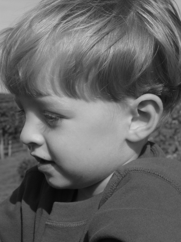 Click for original image 738k 1200x1600