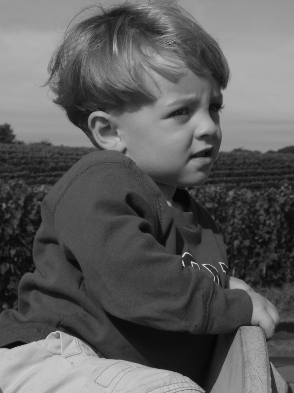 Click for original image 679k 1200x1600