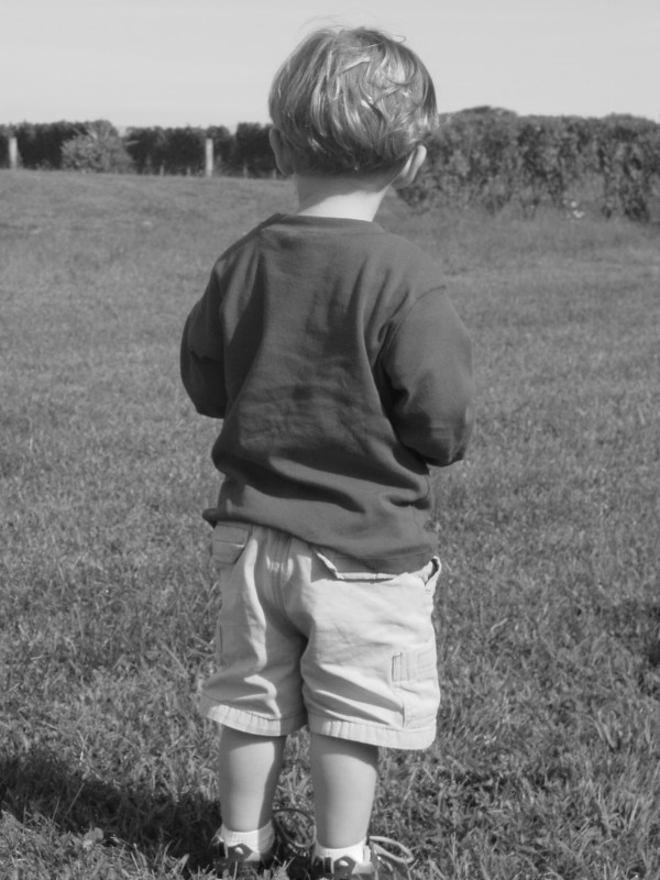 Click for original image 739k 1200x1600