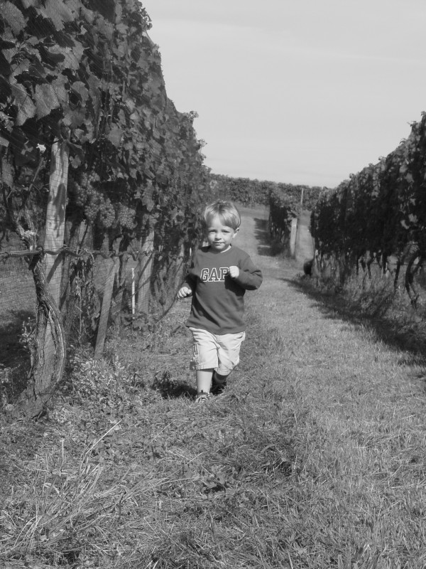 Click for original image 872k 1200x1600