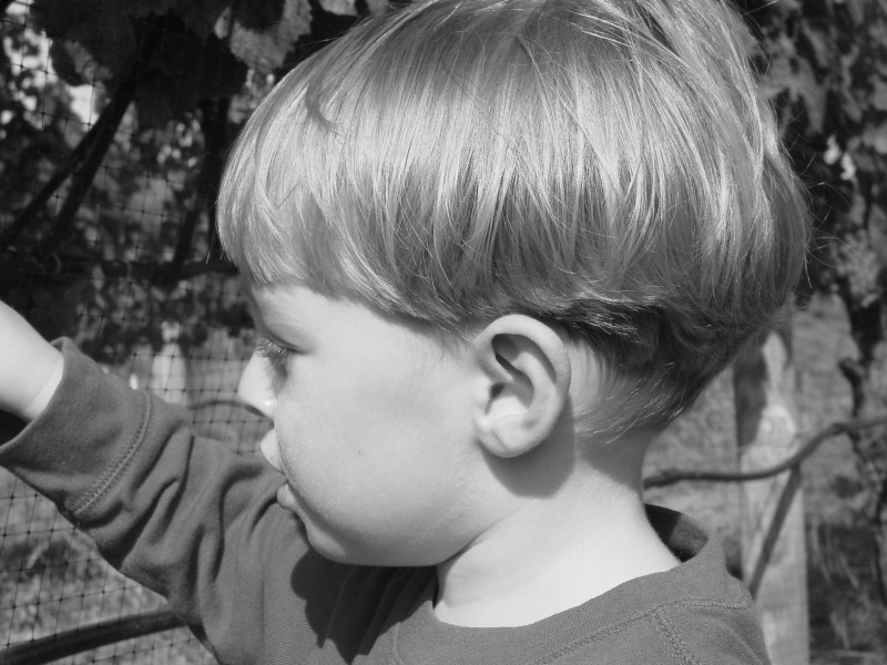 Click for original image 752k 1600x1200