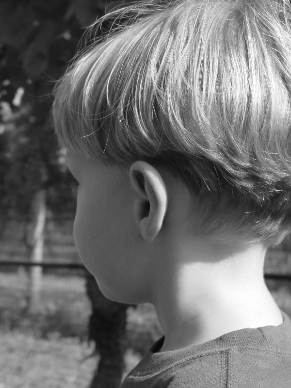 Click for original image 760k 1200x1600