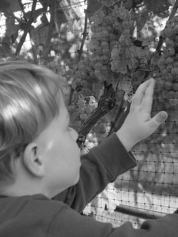 Click for original image 759k 1200x1600