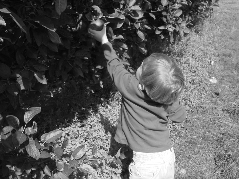 Click for original image 792k 1600x1200