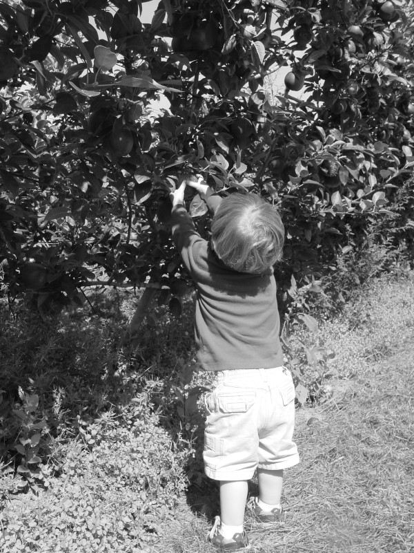 Click for original image 825k 1200x1600