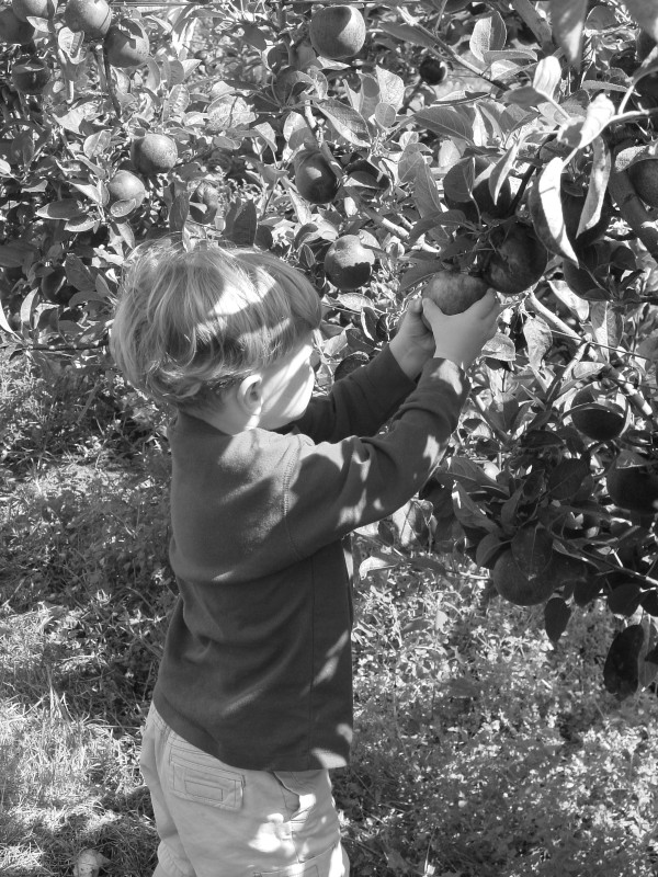 Click for original image 890k 1200x1600