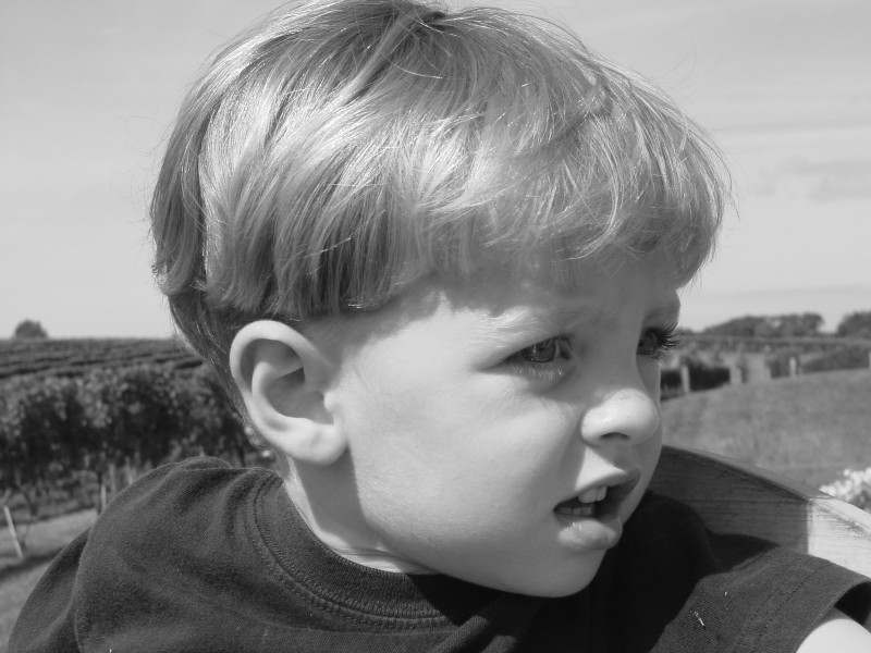 Click for original image 759k 1600x1200