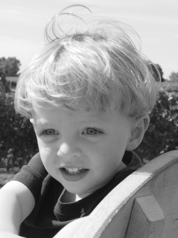 Click for original image 632k 1200x1600