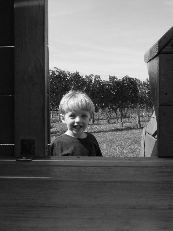 Click for original image 720k 1200x1600